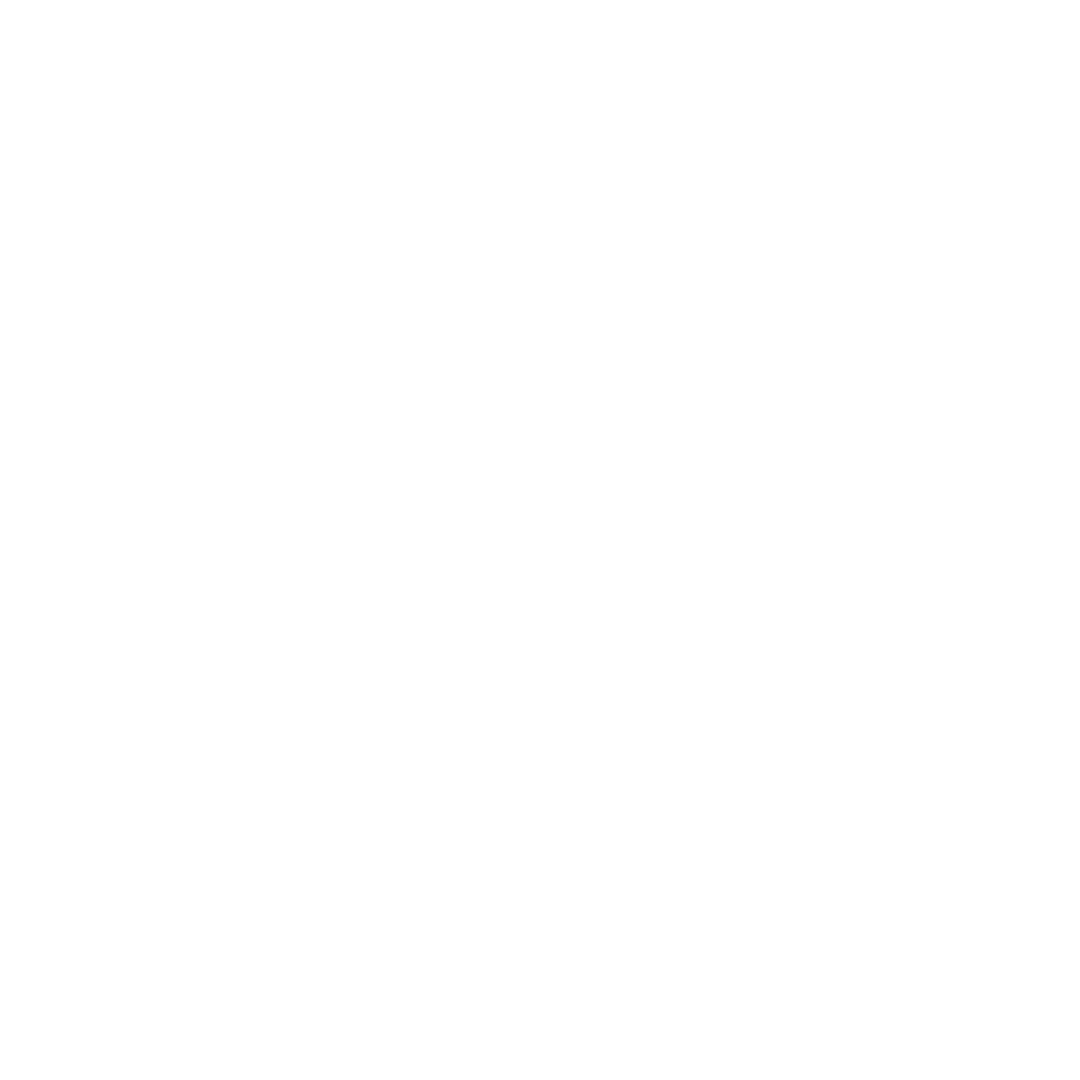 Burts Bees
